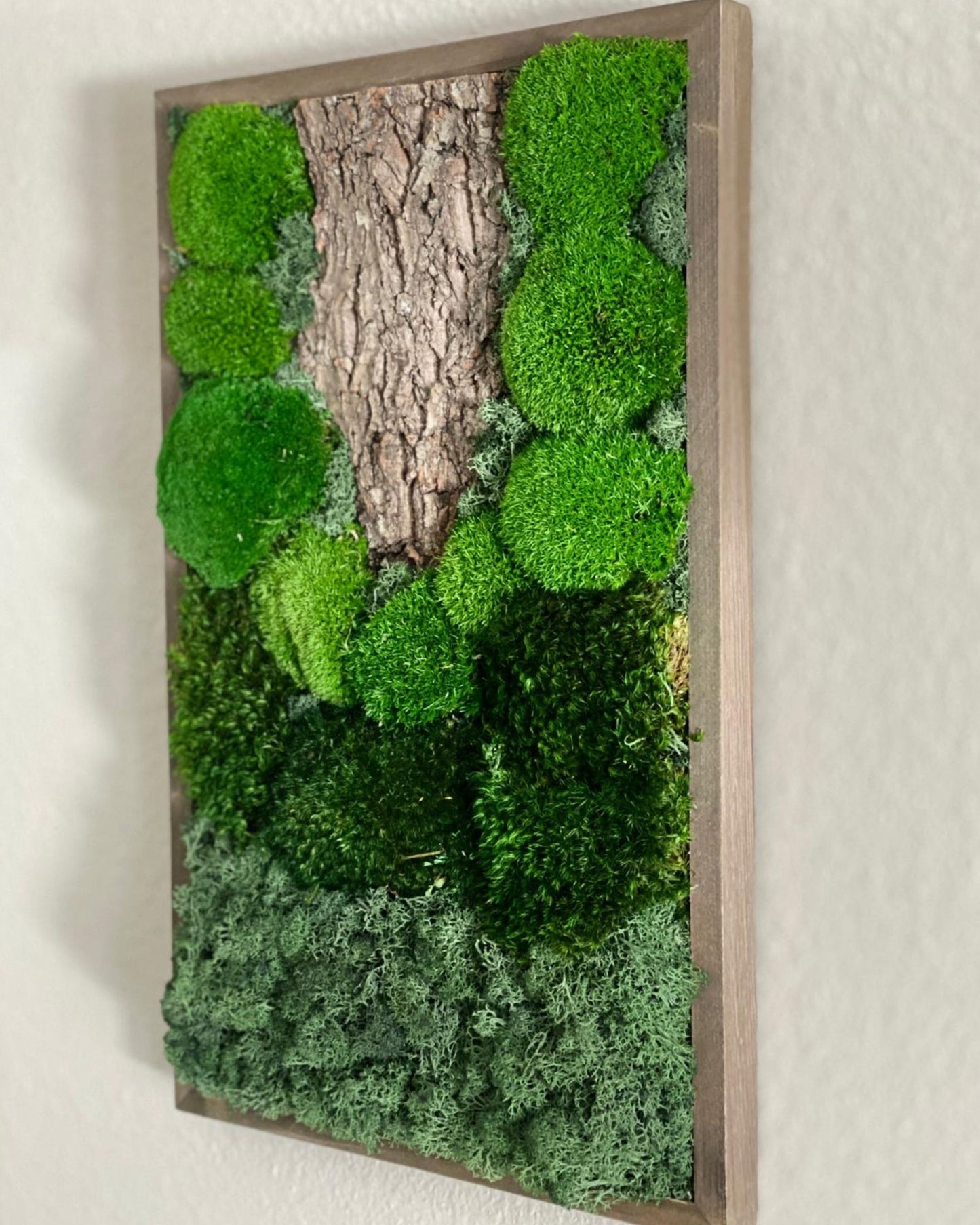Moss Art Frame