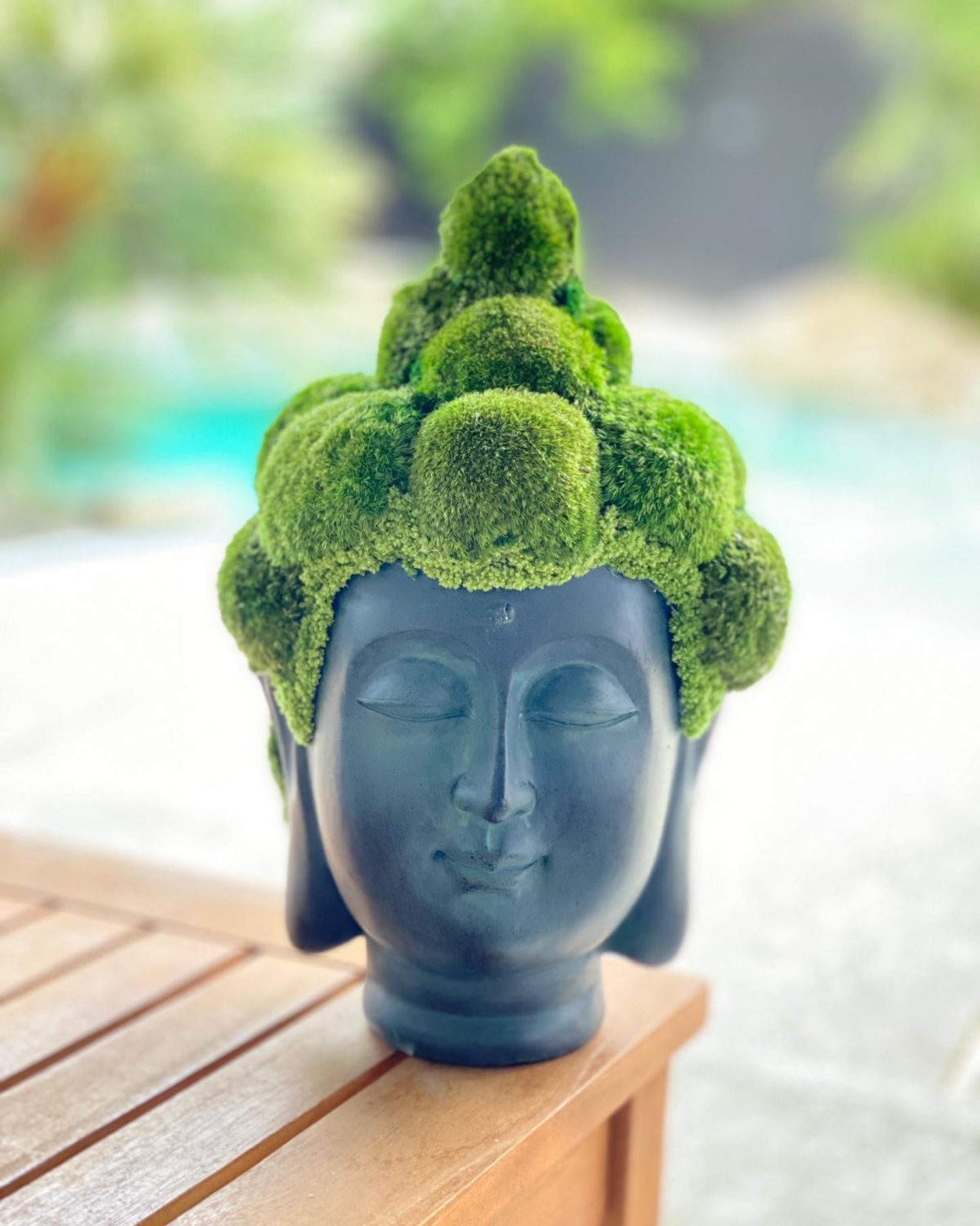 Buddha Head with Mini Pole Moss