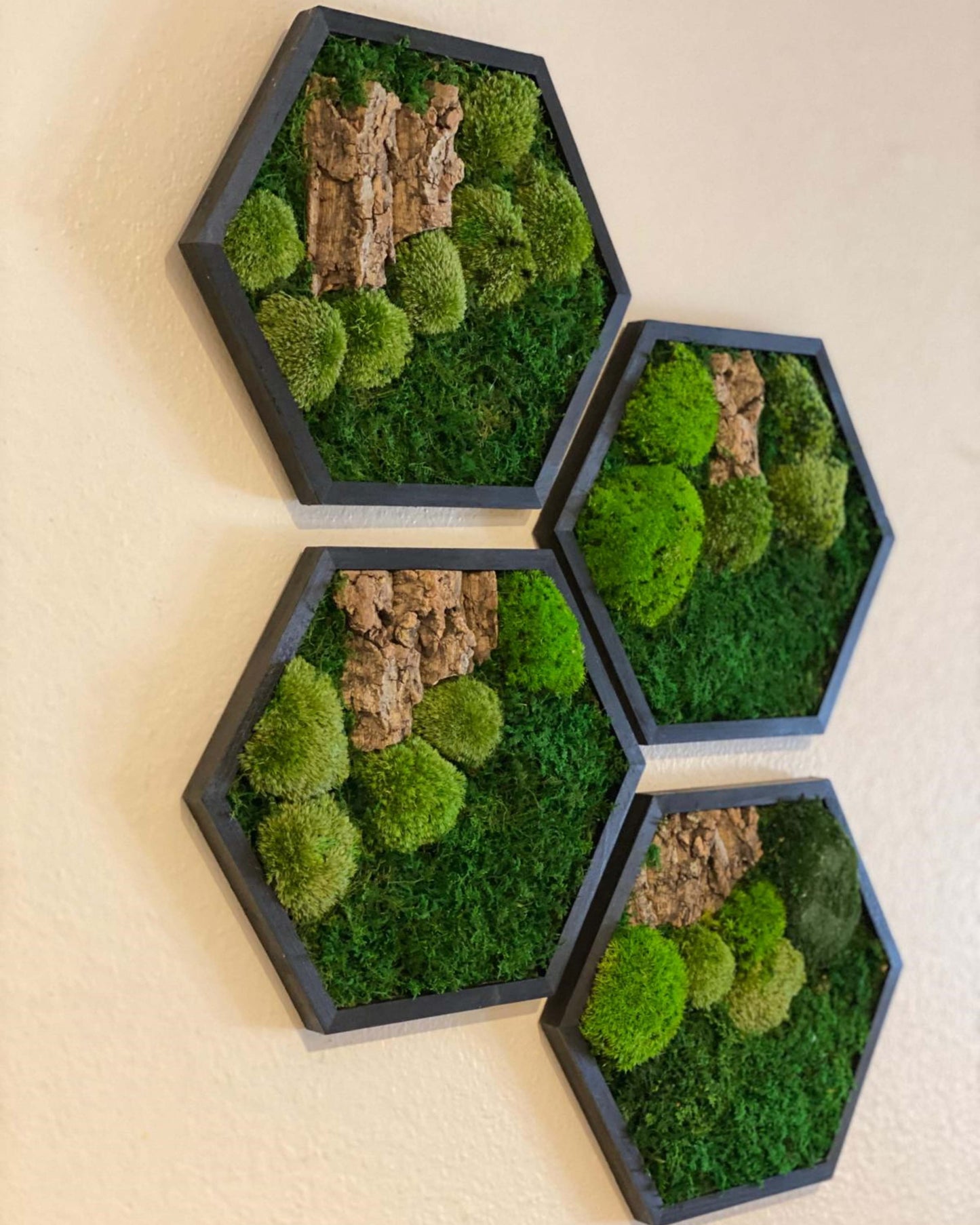 Hexagon Black Wood Wall Moss Art