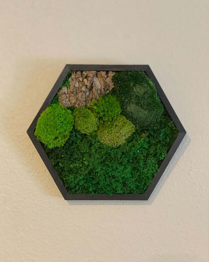 Hexagon Black Wood Wall Moss Art