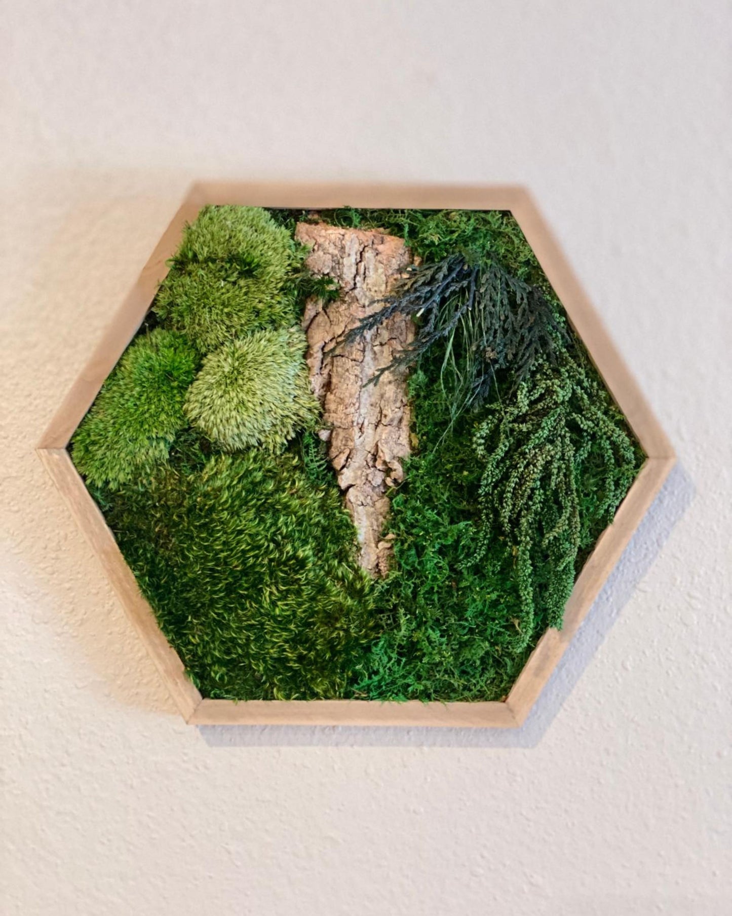 Hexagon Wood Wall Moss Art