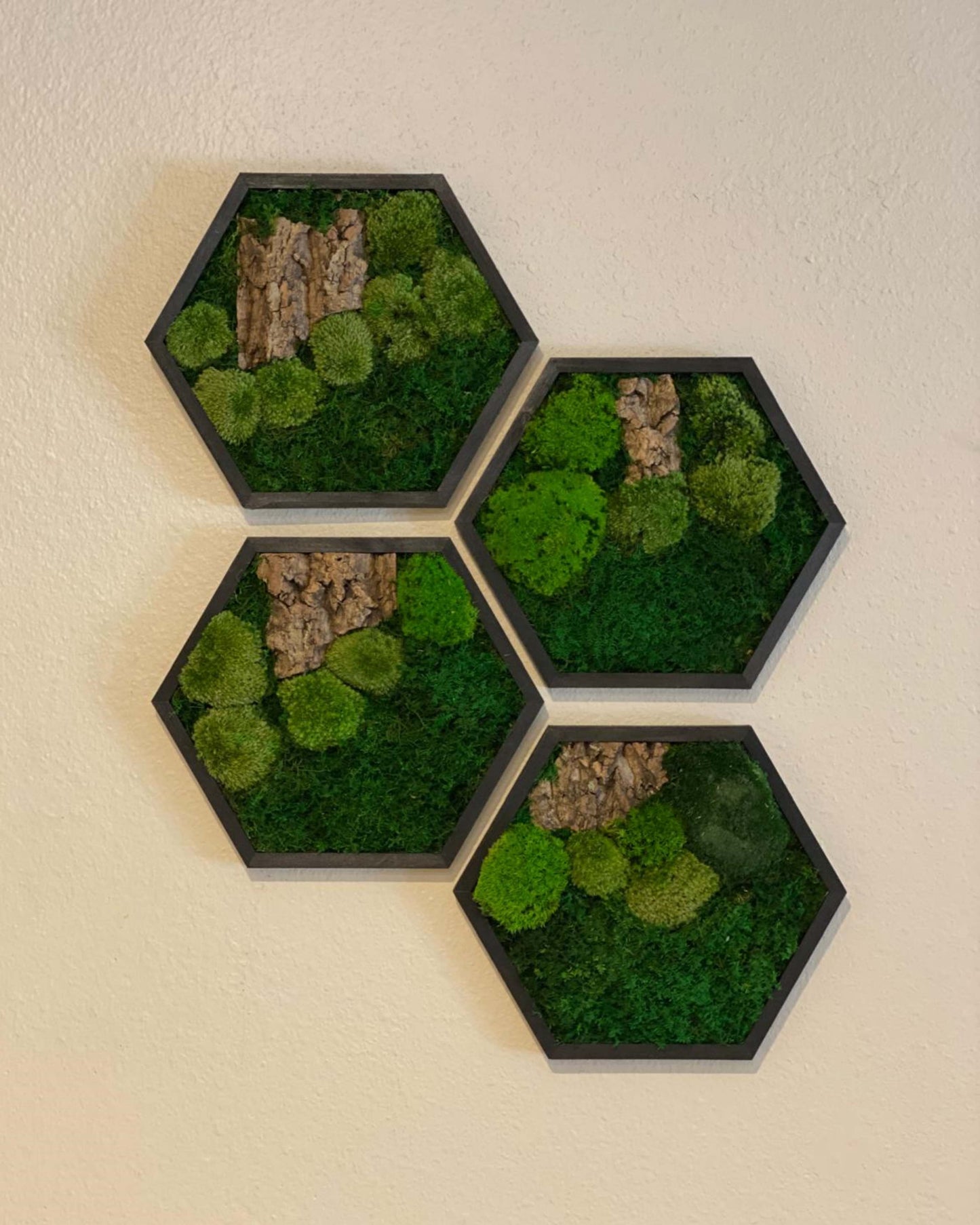 Hexagon Black Wood Wall Moss Art