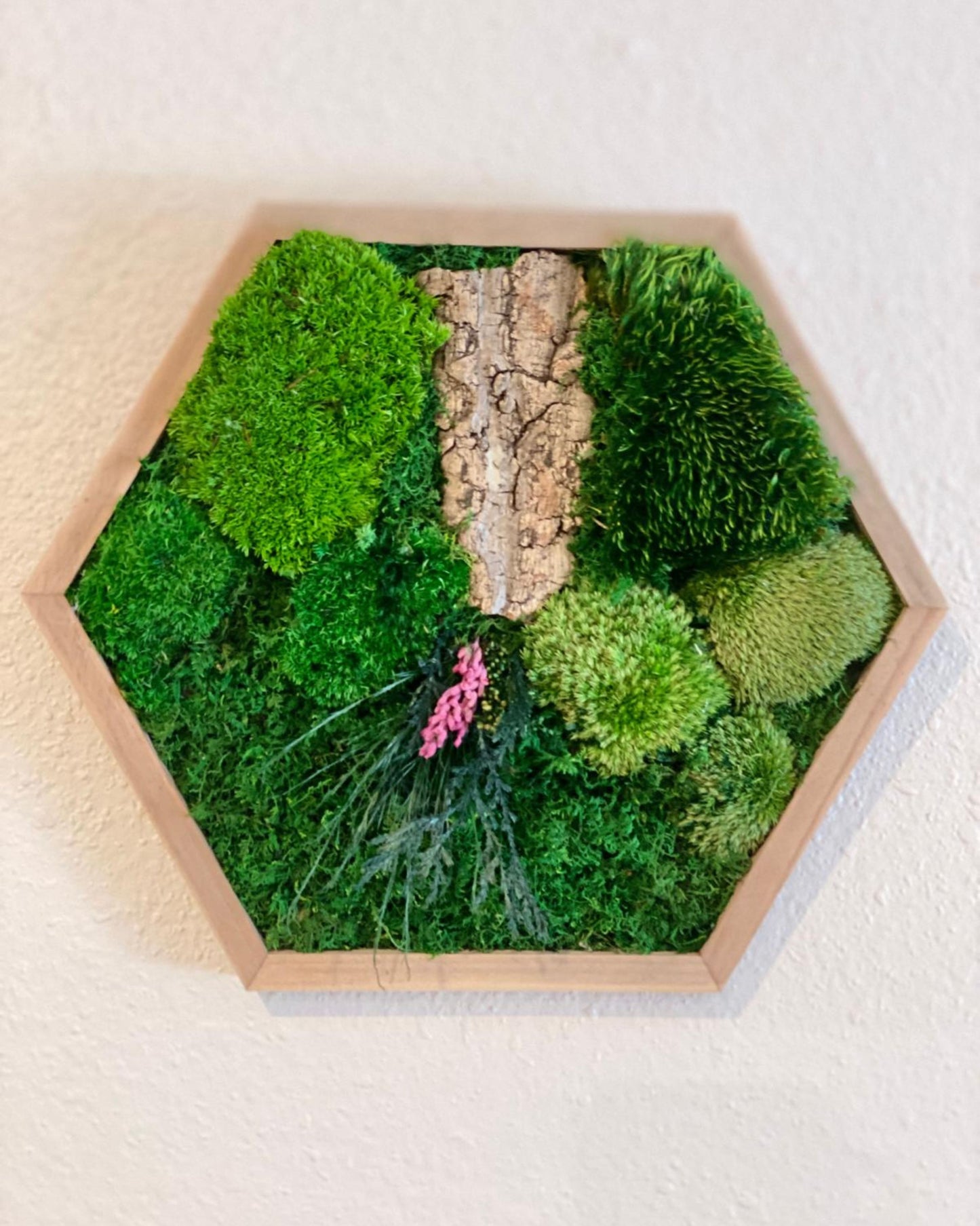 Hexagon Wood Wall Moss Art