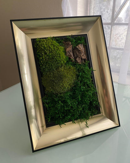 Table Frame Mirrors Moss