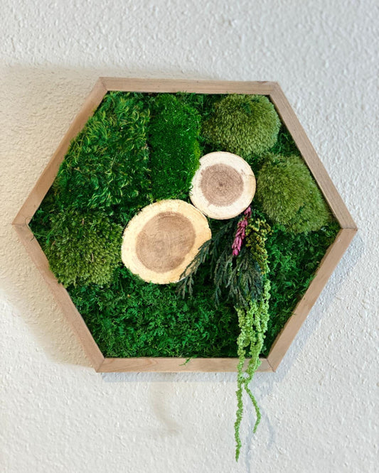 Hexagon Wood Wall Moss Art