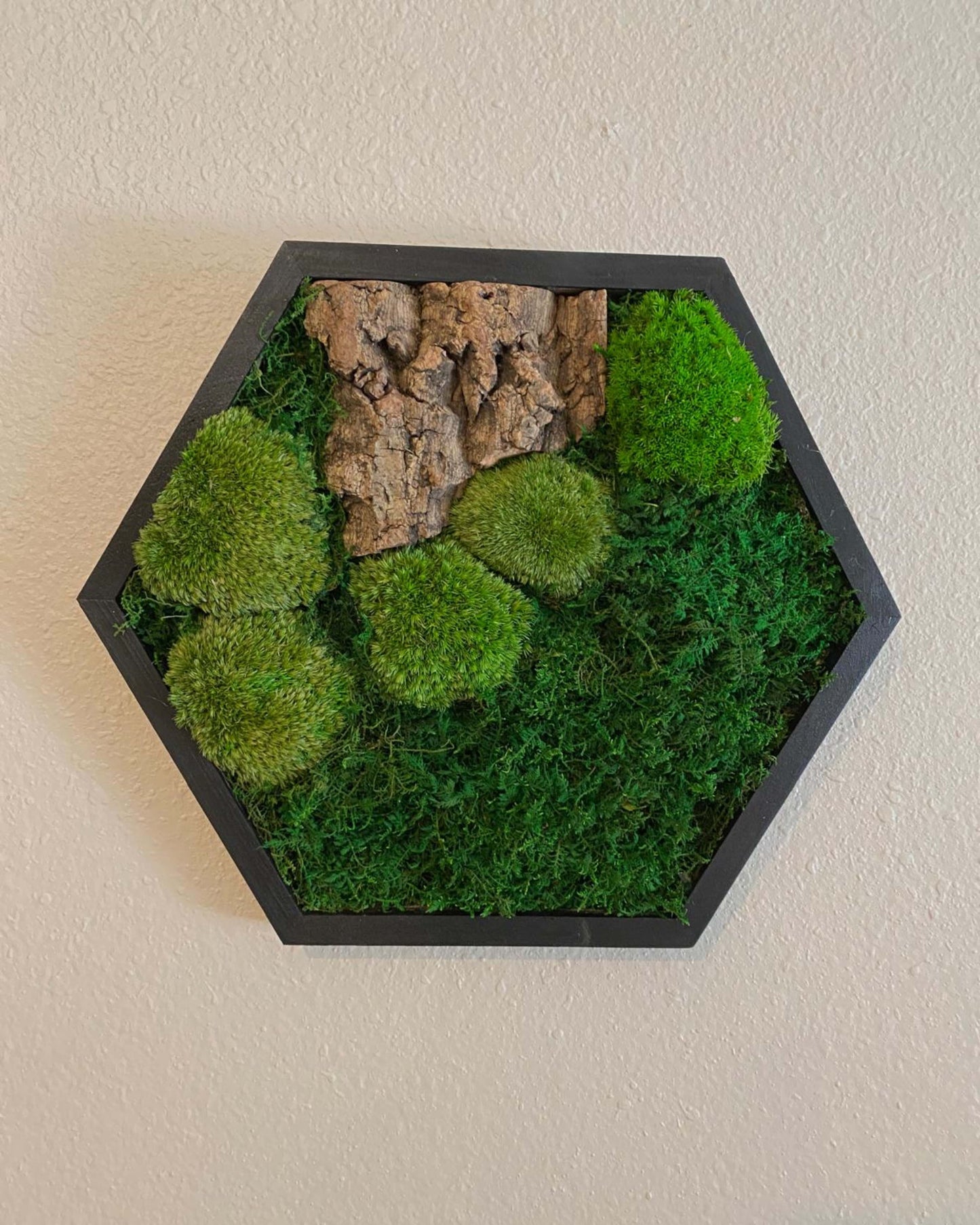 Hexagon Black Wood Wall Moss Art