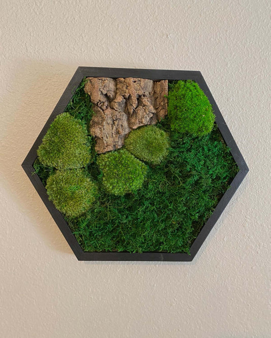 Hexagon Black Wood Wall Moss Art