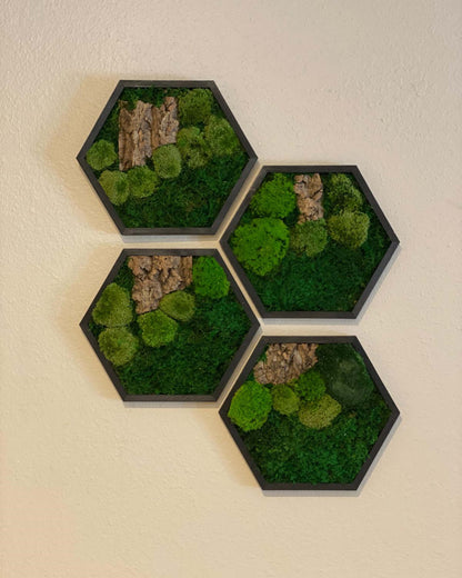 Hexagon Black Wood Wall Moss Art