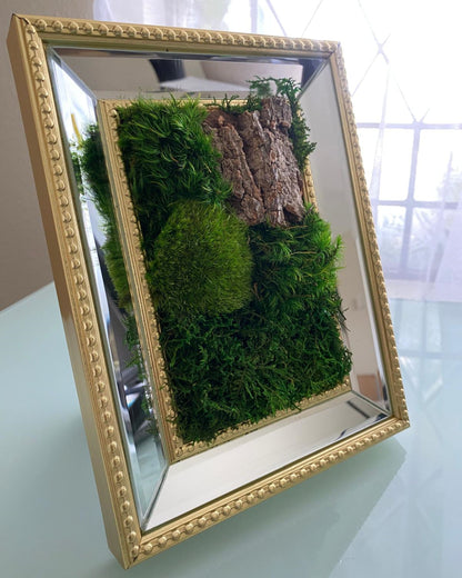 Table Frame Mirrors Moss