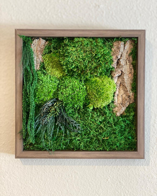 Square Brown Wood Wall Moss Art