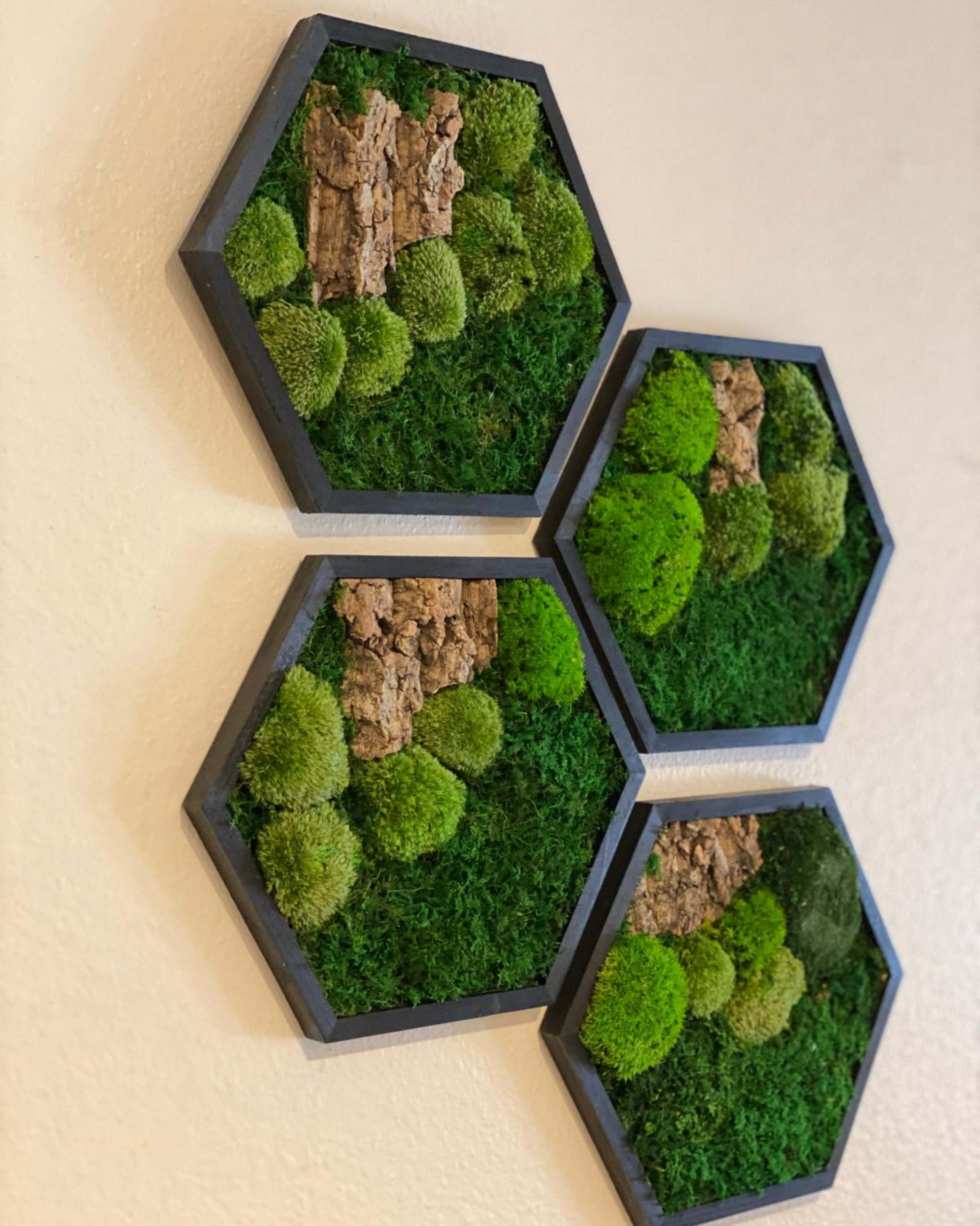 Hexagon Black Wood Wall Moss Art