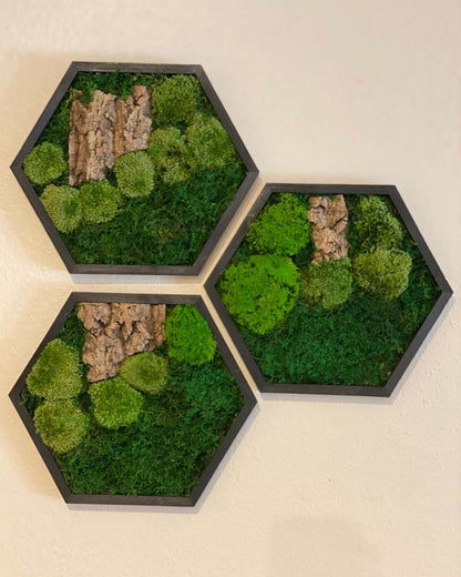 Hexagon Black Wood Wall Moss Art