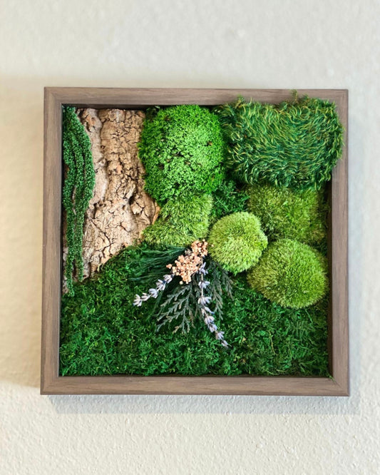 Square Brown Wood Wall Moss Art