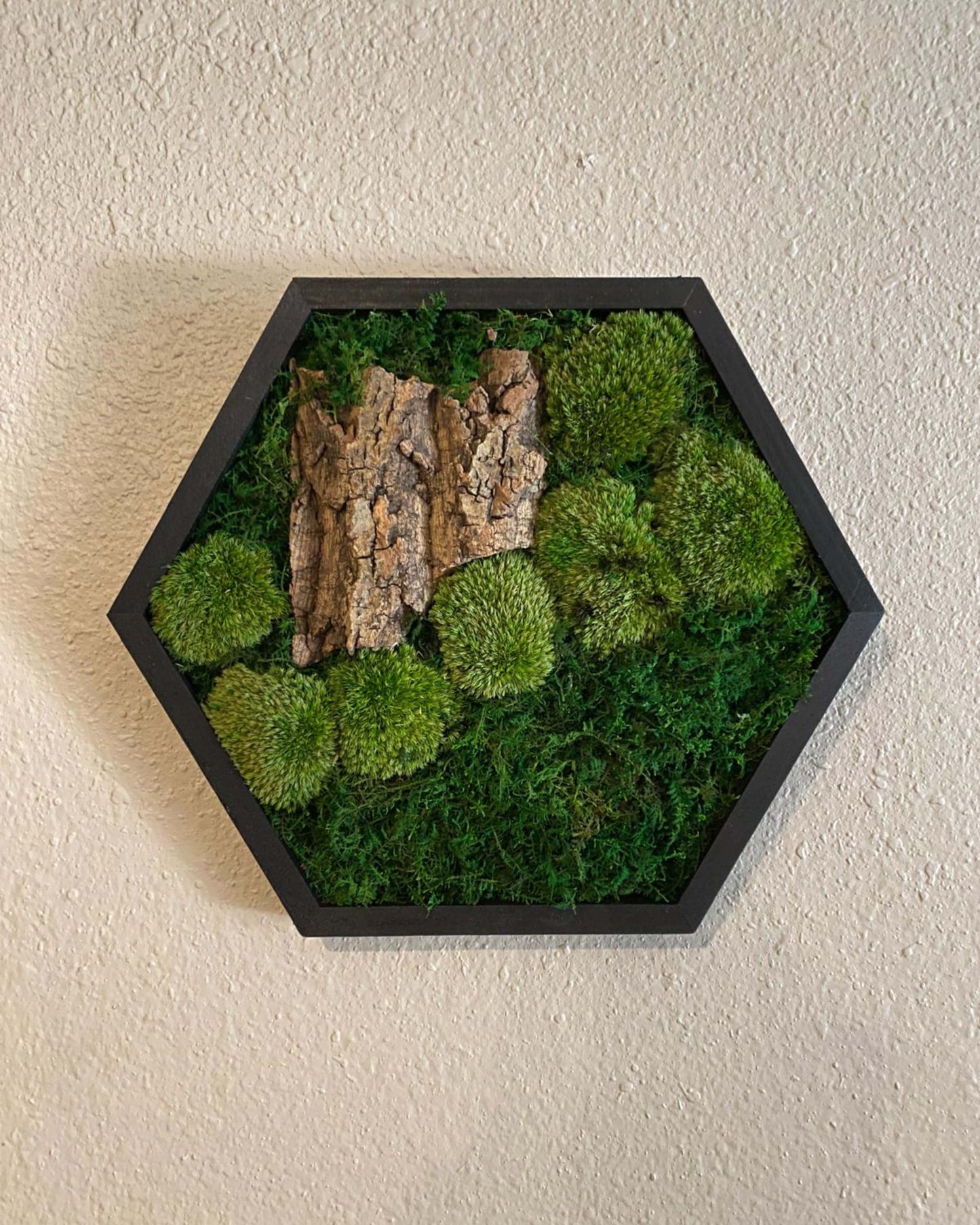 Hexagon Black Wood Wall Moss Art