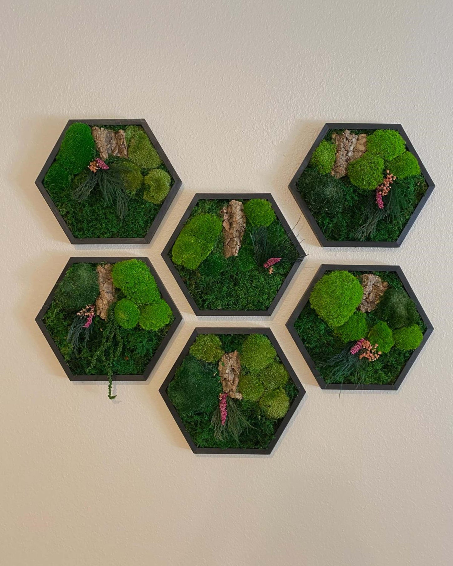 Hexagon Black Wood Wall Moss Art