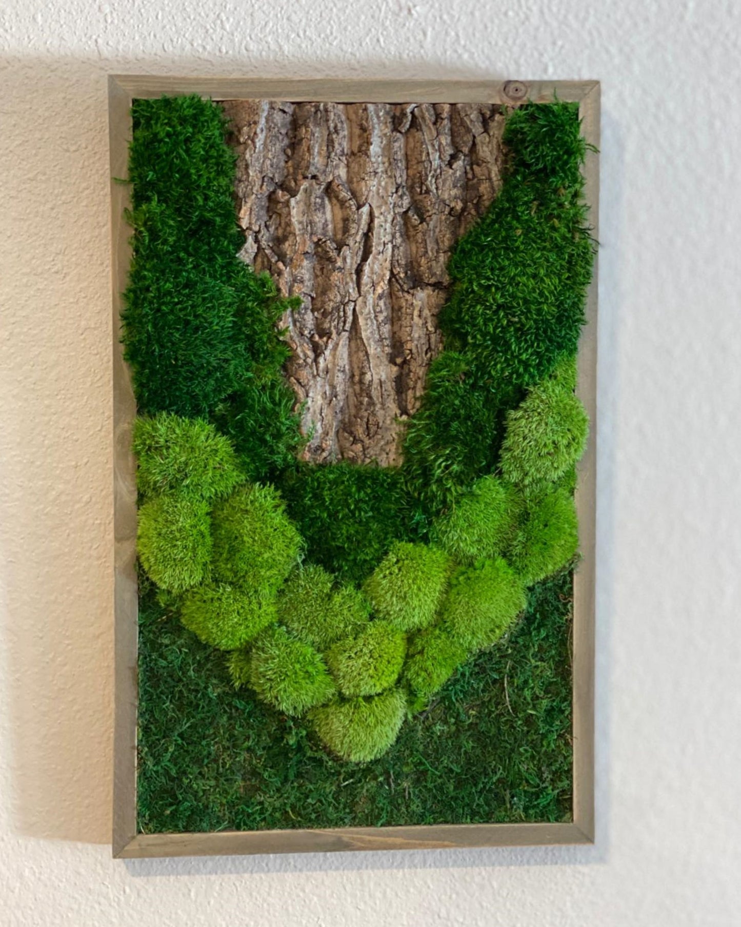 Natural Moss and Bark Wall Art