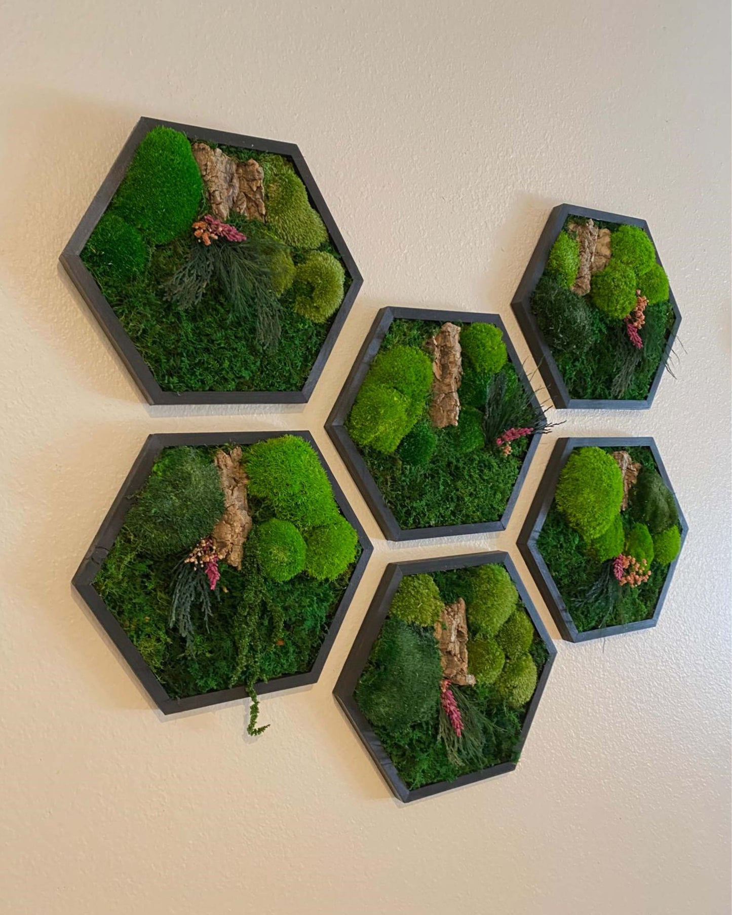 Hexagon Black Wood Wall Moss Art