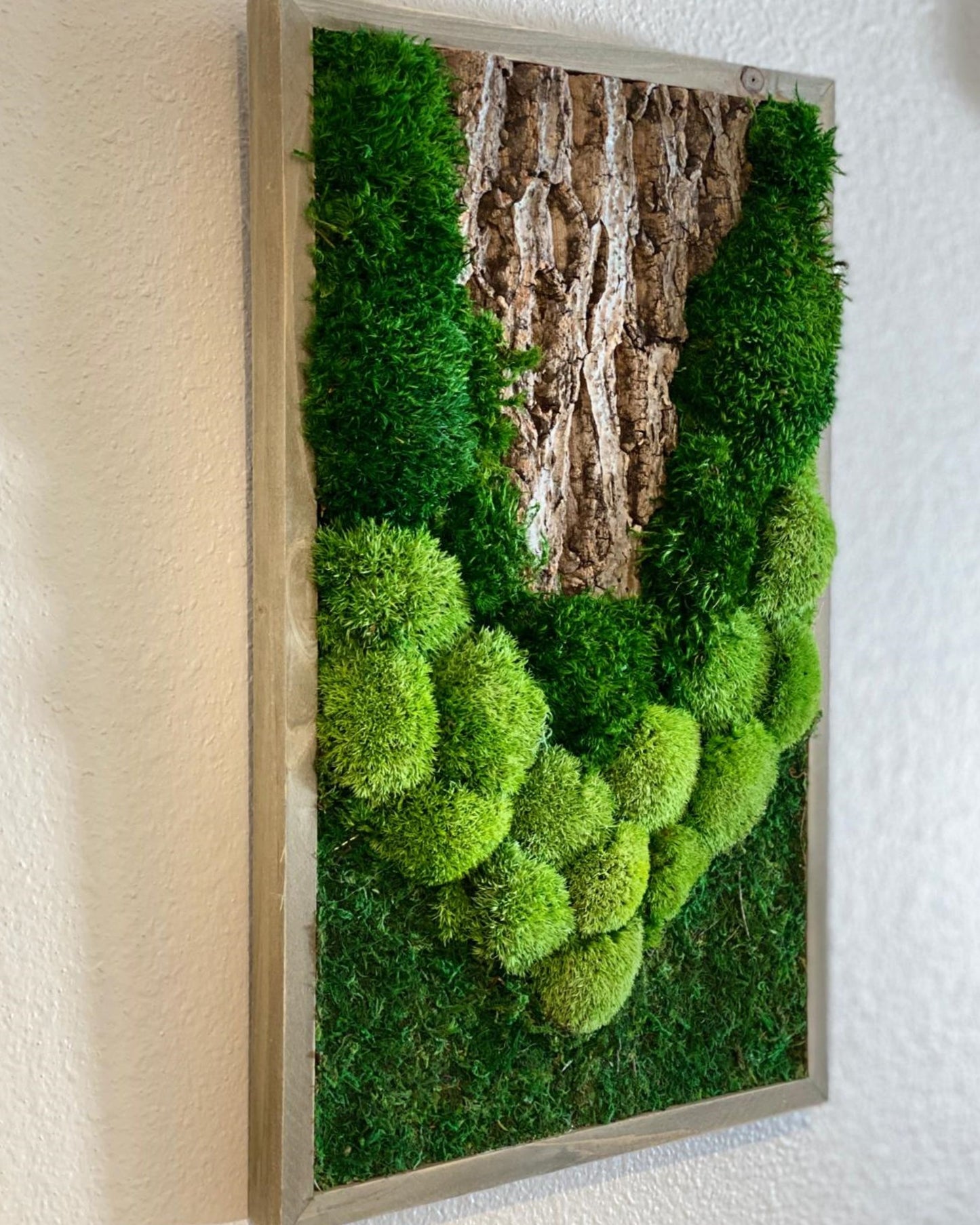 Natural Moss and Bark Wall Art