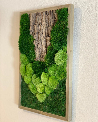 Natural Moss and Bark Wall Art