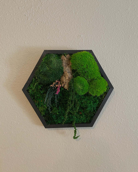 Hexagon Black Wood Wall Moss Art