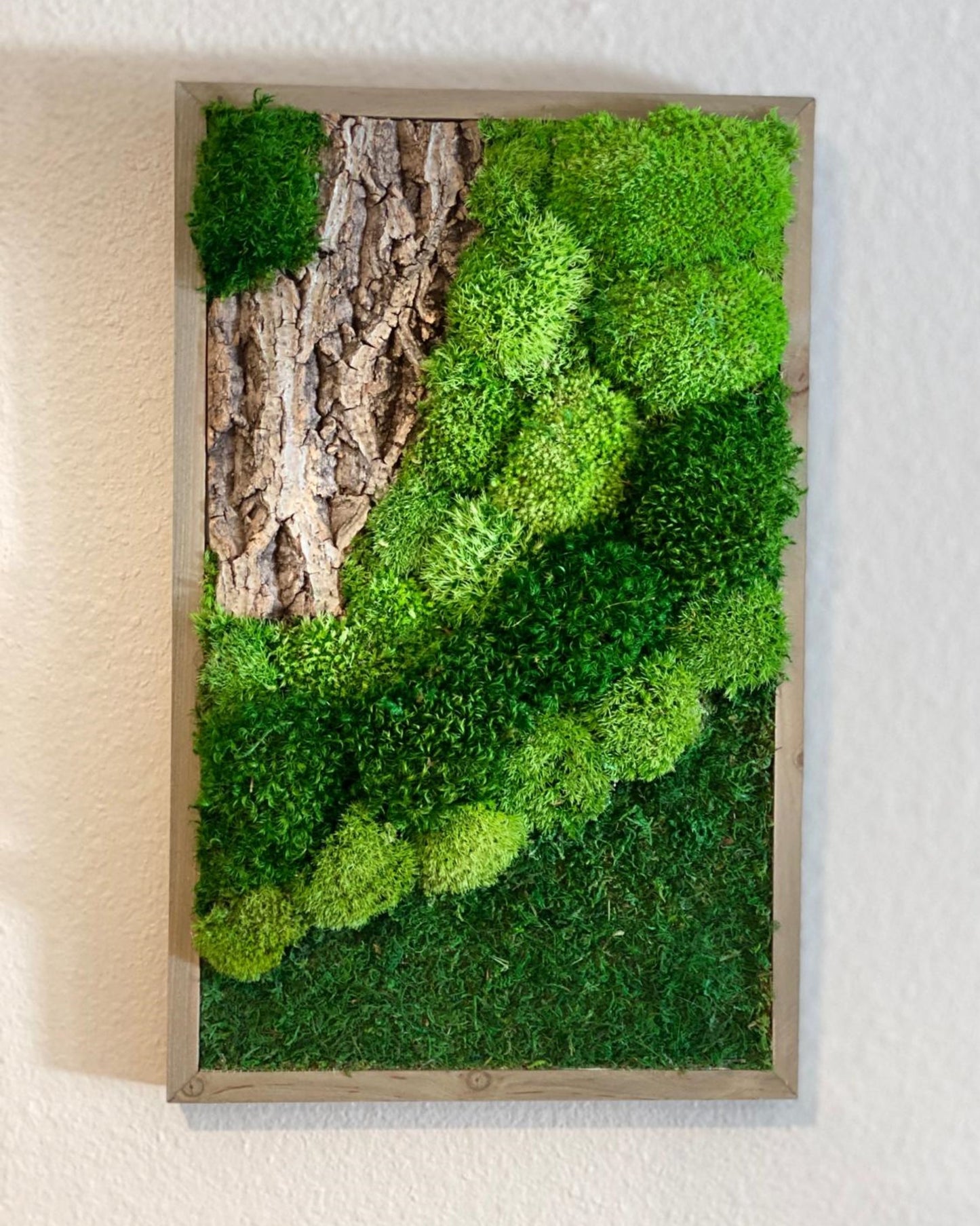 Natural Moss and Bark Wall Art