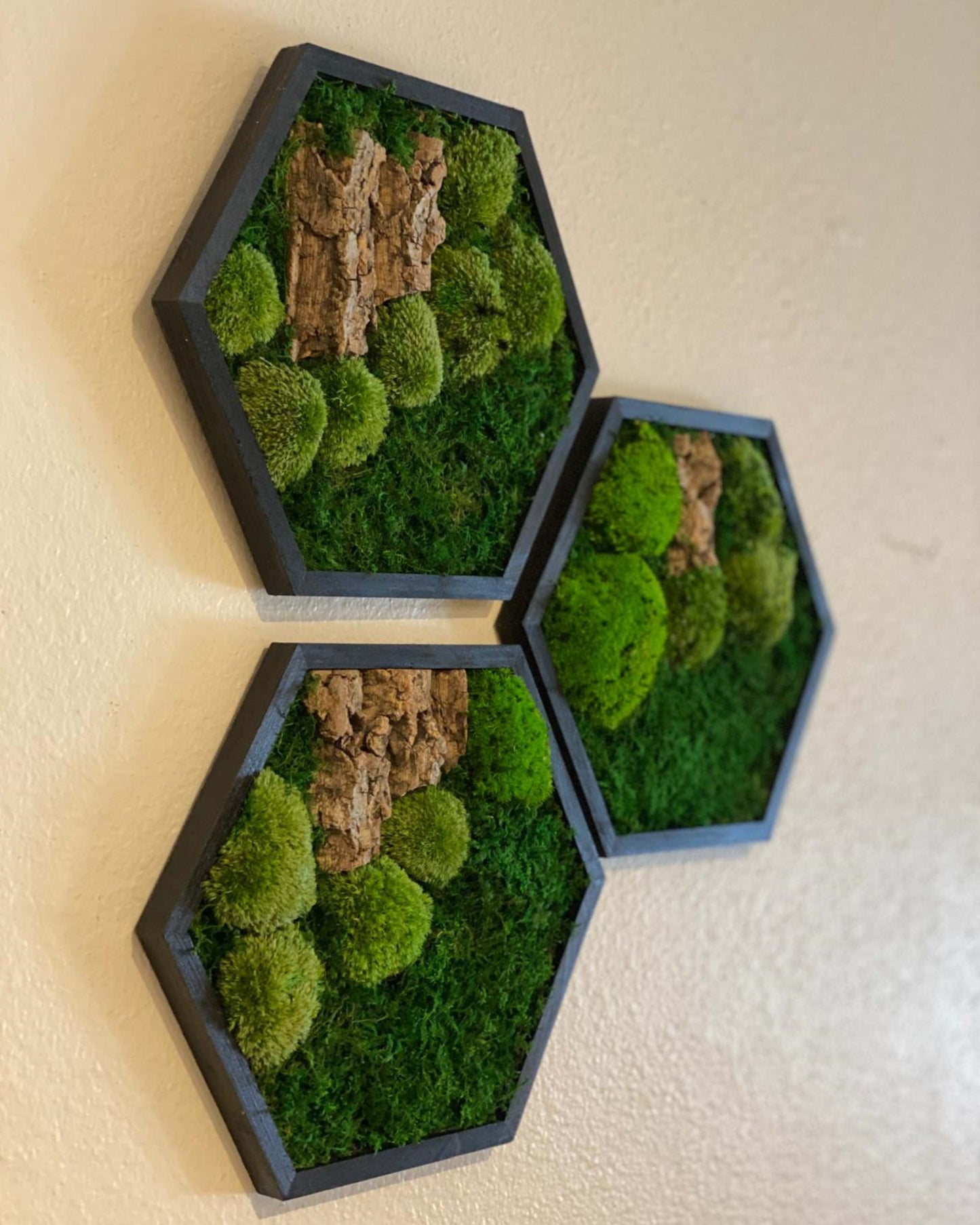 Hexagon Black Wood Wall Moss Art