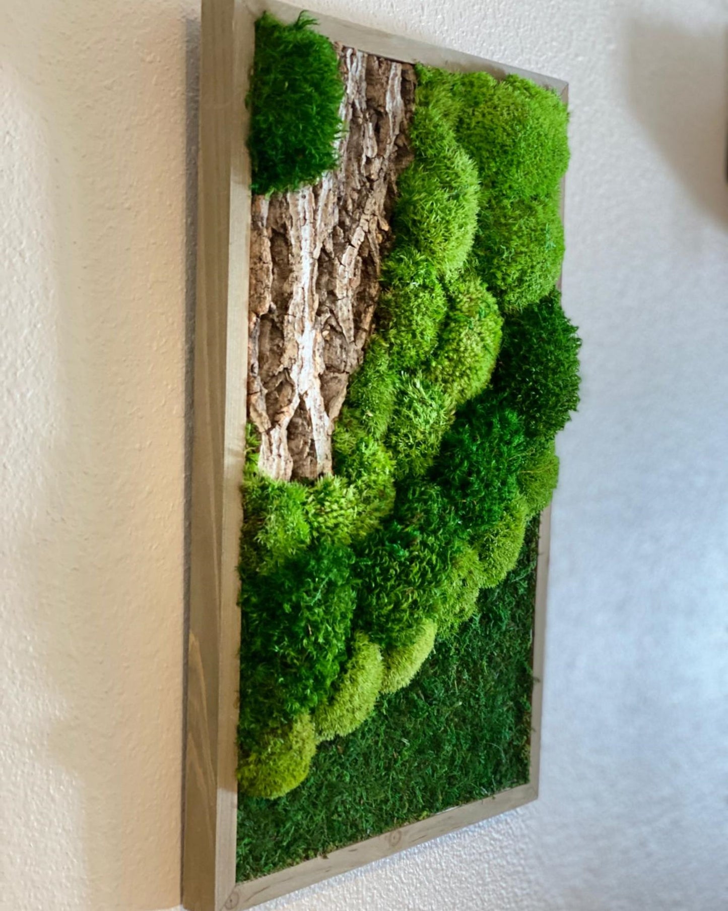 Natural Moss and Bark Wall Art