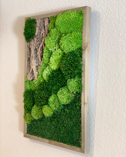 Natural Moss and Bark Wall Art