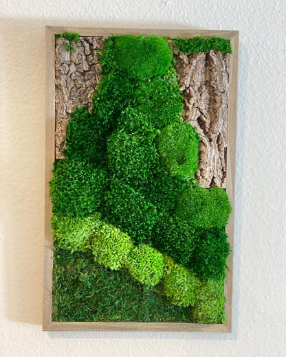 Natural Moss and Bark Wall Art