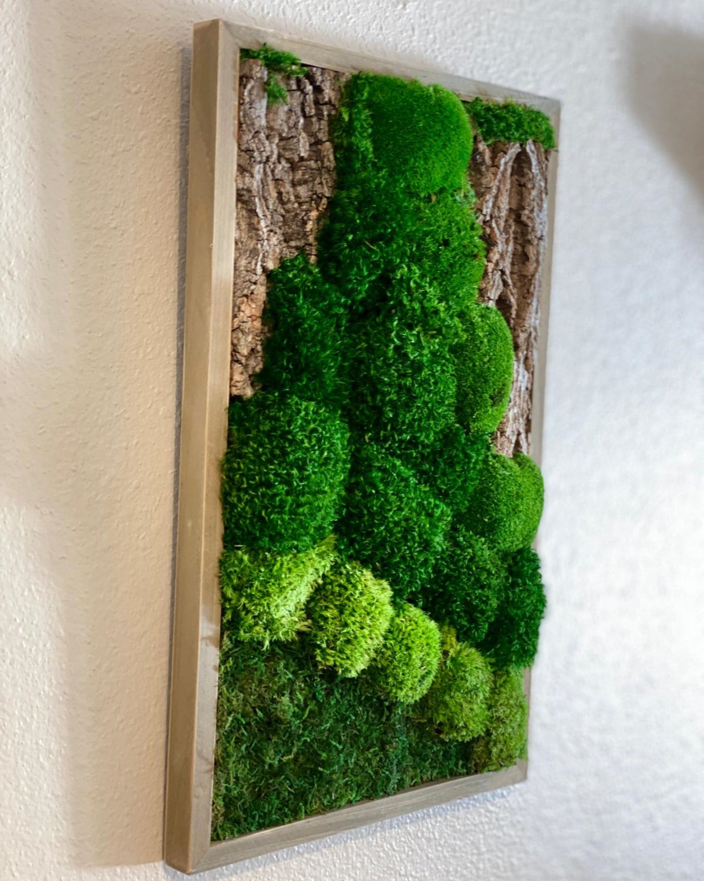 Natural Moss and Bark Wall Art