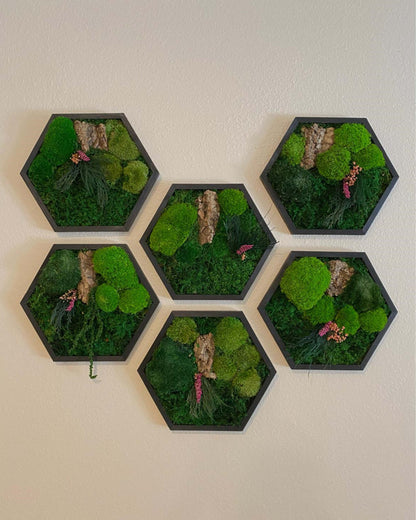 Hexagon Black Wood Wall Moss Art