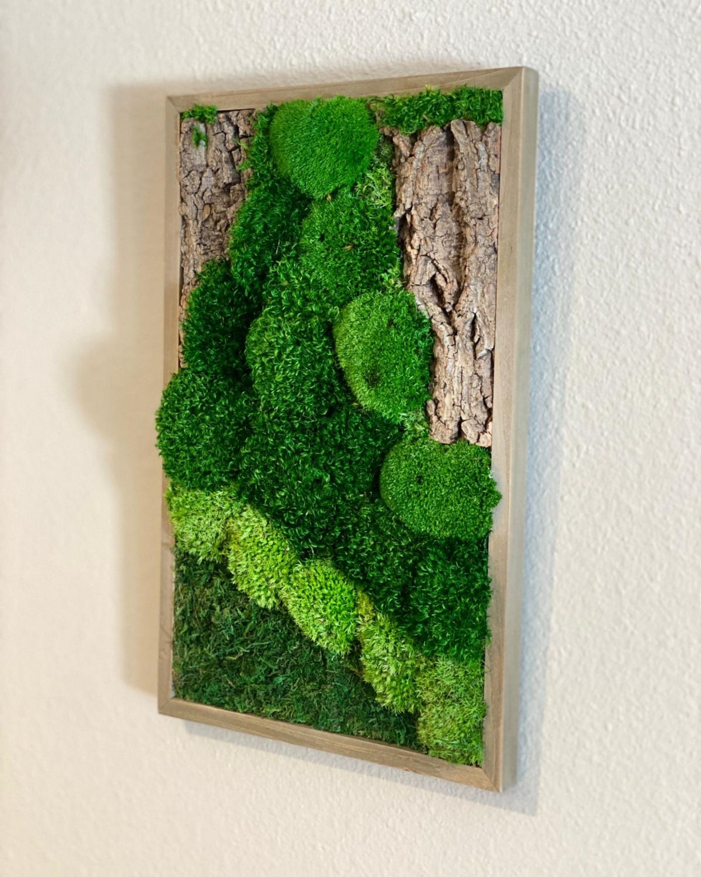 Natural Moss and Bark Wall Art