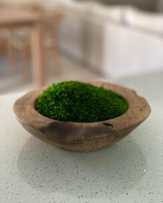 Natural Wood with Preserved Green Moss