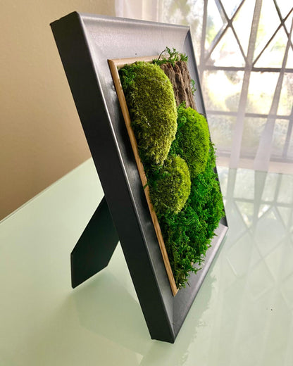 Table Frame Moss