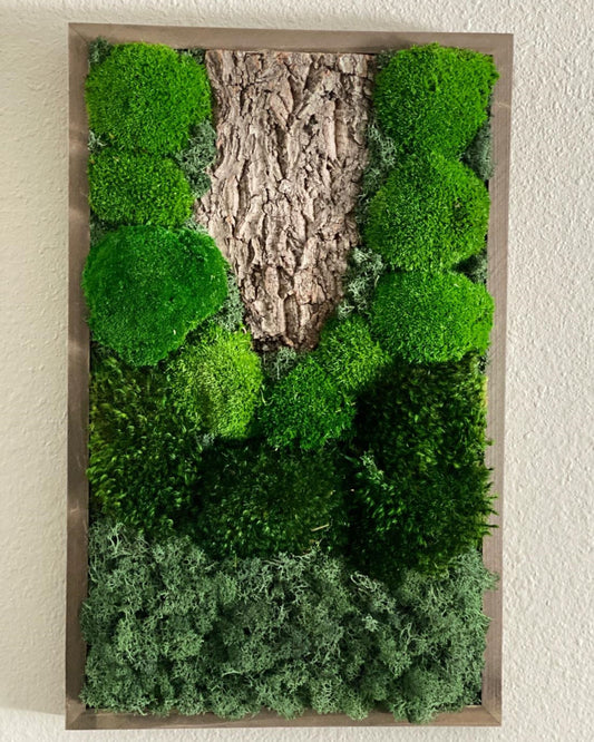 Moss Art Frame