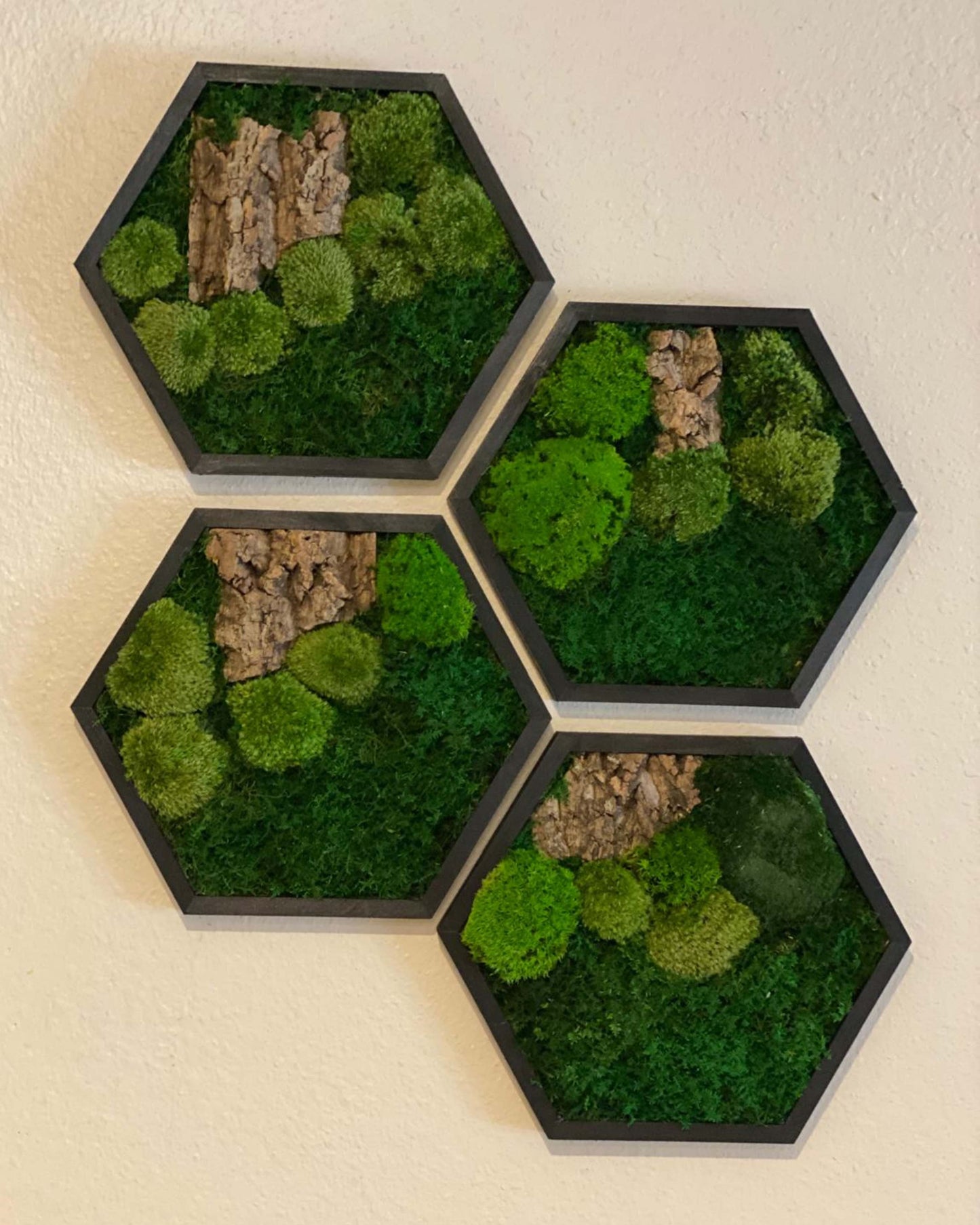 Hexagon Black Wood Wall Moss Art