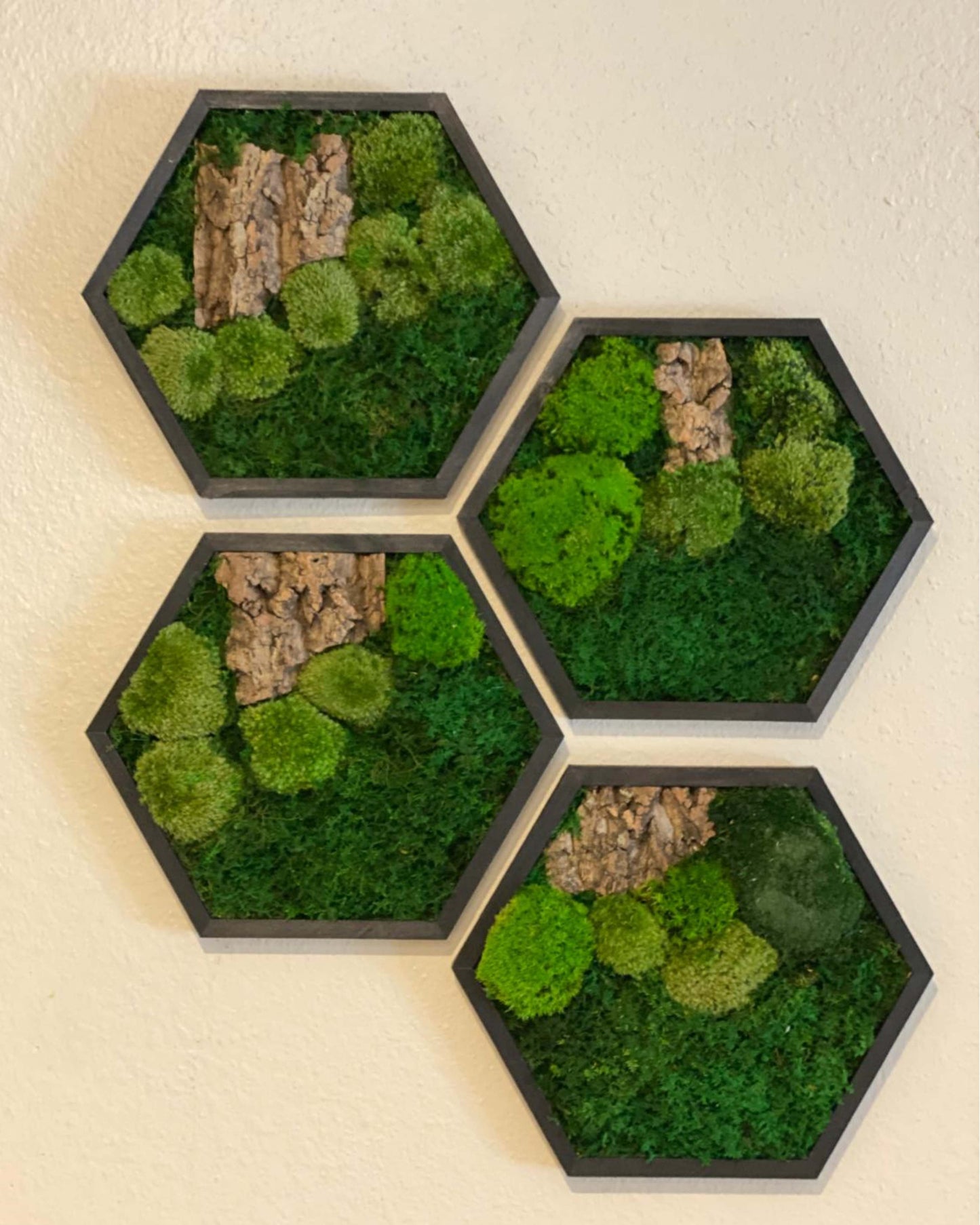 Hexagon Black Wood Wall Moss Art