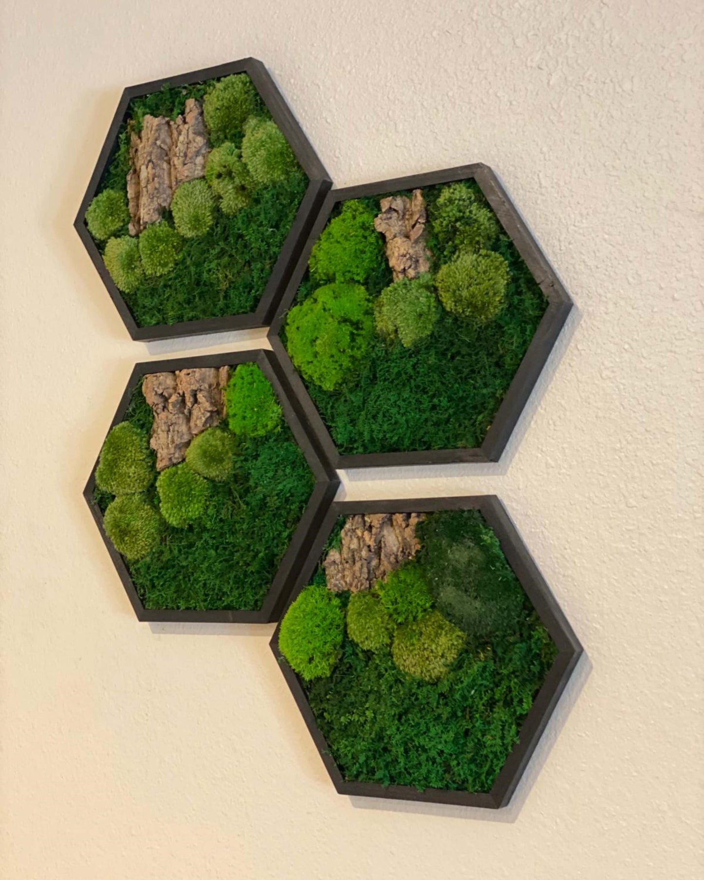 Hexagon Black Wood Wall Moss Art