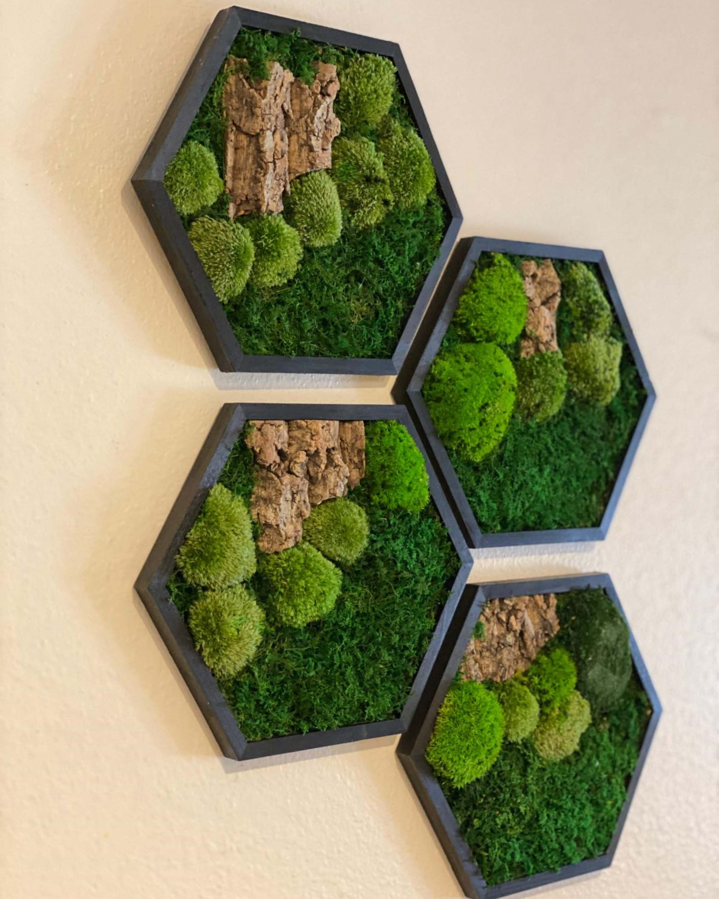 Hexagon Black Wood Wall Moss Art