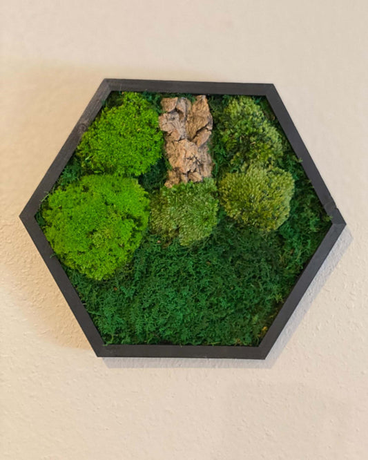 Hexagon Black Wood Wall Moss Art