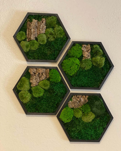 Hexagon Black Wood Wall Moss Art